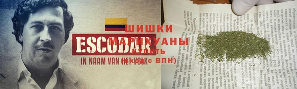гашик Лихославль