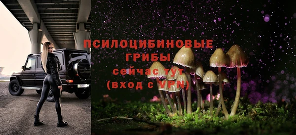 ECSTASY Лиски