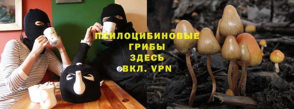 гашик Лихославль